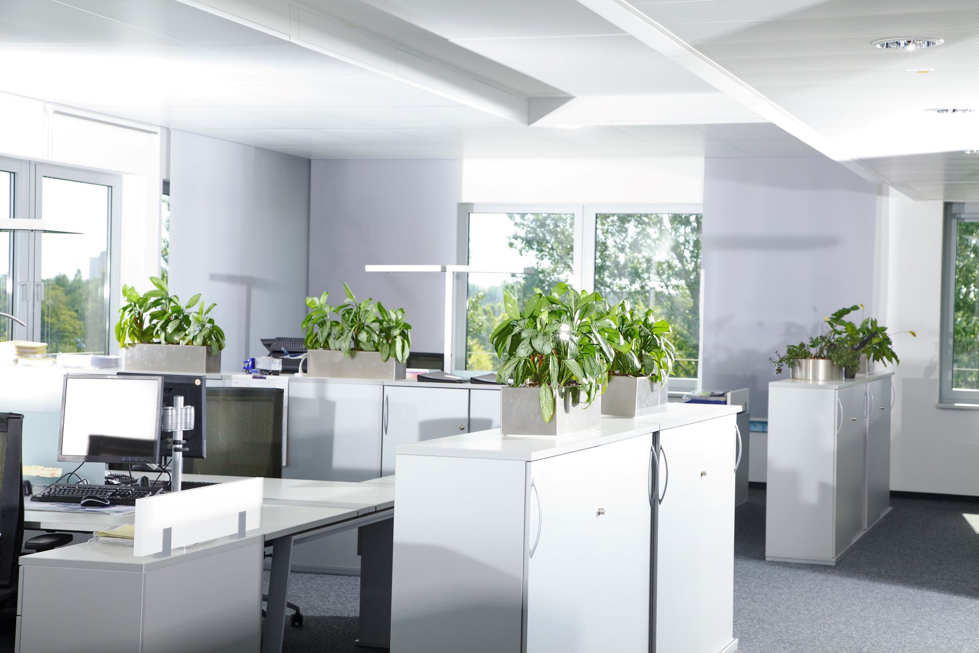 Resume Writing Services Highfields QLD